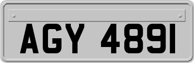 AGY4891