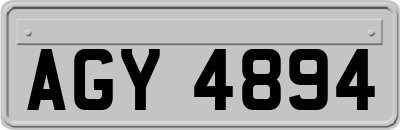 AGY4894