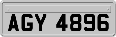 AGY4896