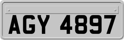 AGY4897