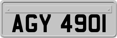 AGY4901