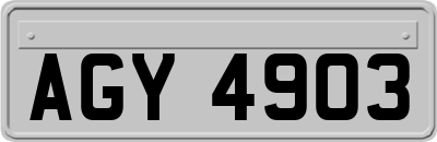 AGY4903