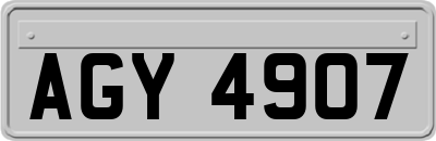 AGY4907