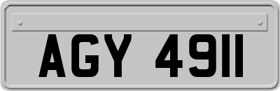 AGY4911