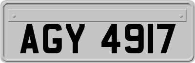 AGY4917