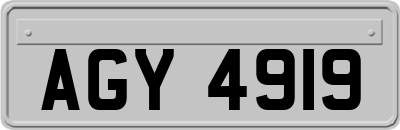AGY4919