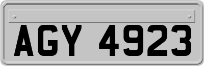 AGY4923