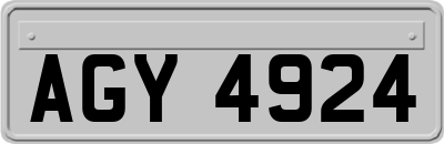 AGY4924