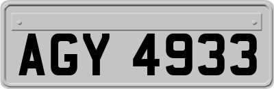 AGY4933