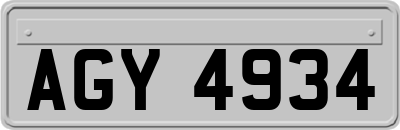 AGY4934