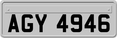 AGY4946