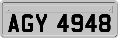 AGY4948