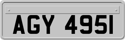 AGY4951