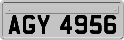 AGY4956