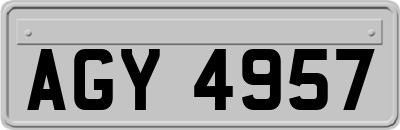 AGY4957