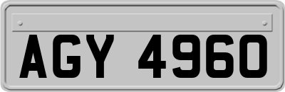 AGY4960