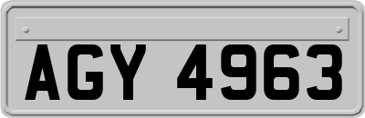 AGY4963