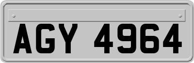 AGY4964