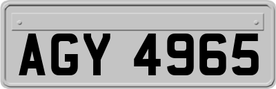 AGY4965