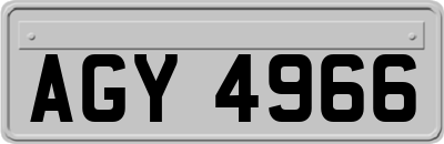 AGY4966