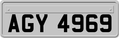 AGY4969