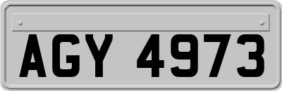 AGY4973