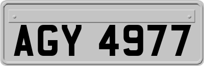 AGY4977