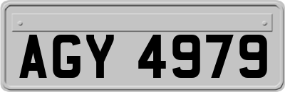 AGY4979