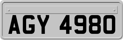 AGY4980