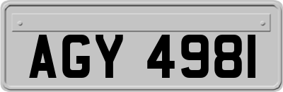 AGY4981