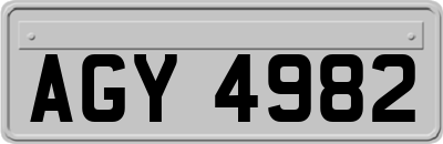 AGY4982
