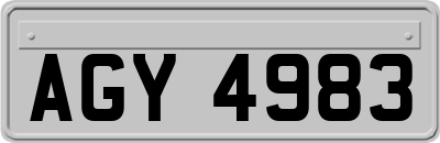 AGY4983