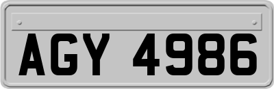 AGY4986