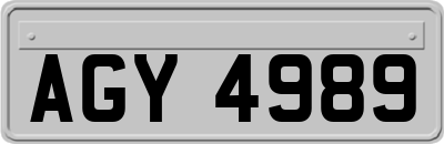 AGY4989