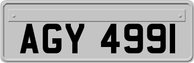 AGY4991