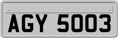 AGY5003