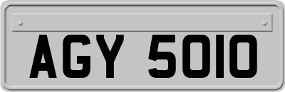 AGY5010