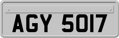 AGY5017