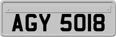 AGY5018
