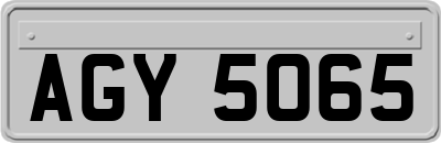 AGY5065