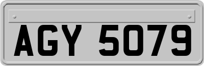 AGY5079