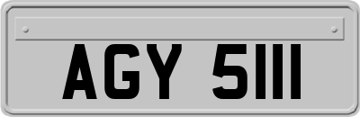 AGY5111