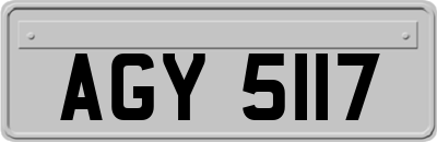 AGY5117