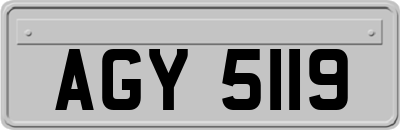 AGY5119