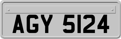 AGY5124