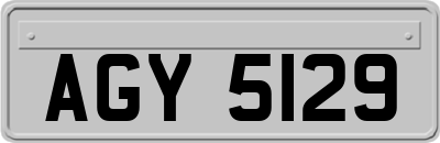 AGY5129
