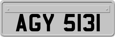 AGY5131