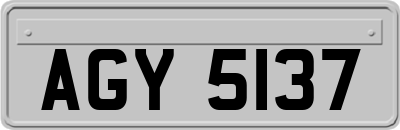 AGY5137