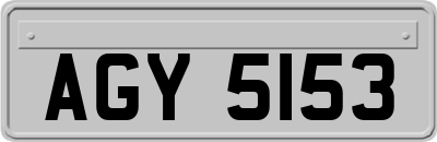 AGY5153