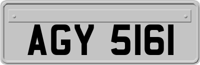 AGY5161